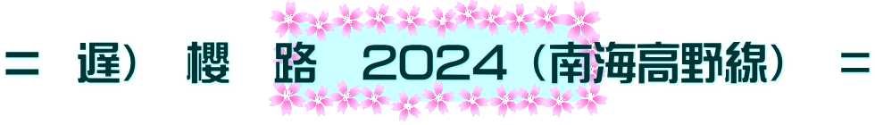 =  遅）　櫻　路　2024 （南海高野線）　＝